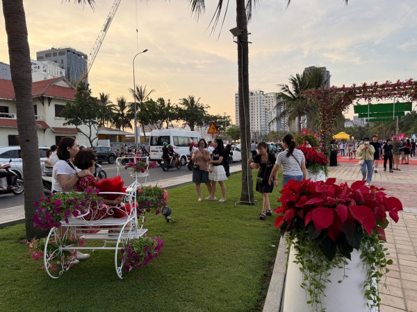 Đường ven biển hóa đường hoa, người người nô nức check-in Đường ven biển hóa đường hoa, người người nô nức check-in