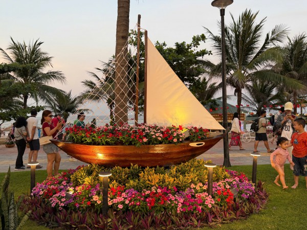 Đường ven biển hóa đường hoa, người người nô nức check-in Đường ven biển hóa đường hoa, người người nô nức check-in