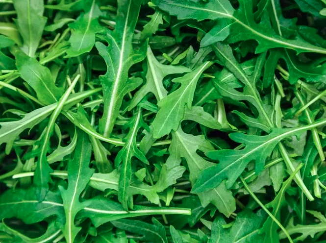 9 loại rau xanh theo mùa giúp tăng cường miễn dịch và trao đổi chất