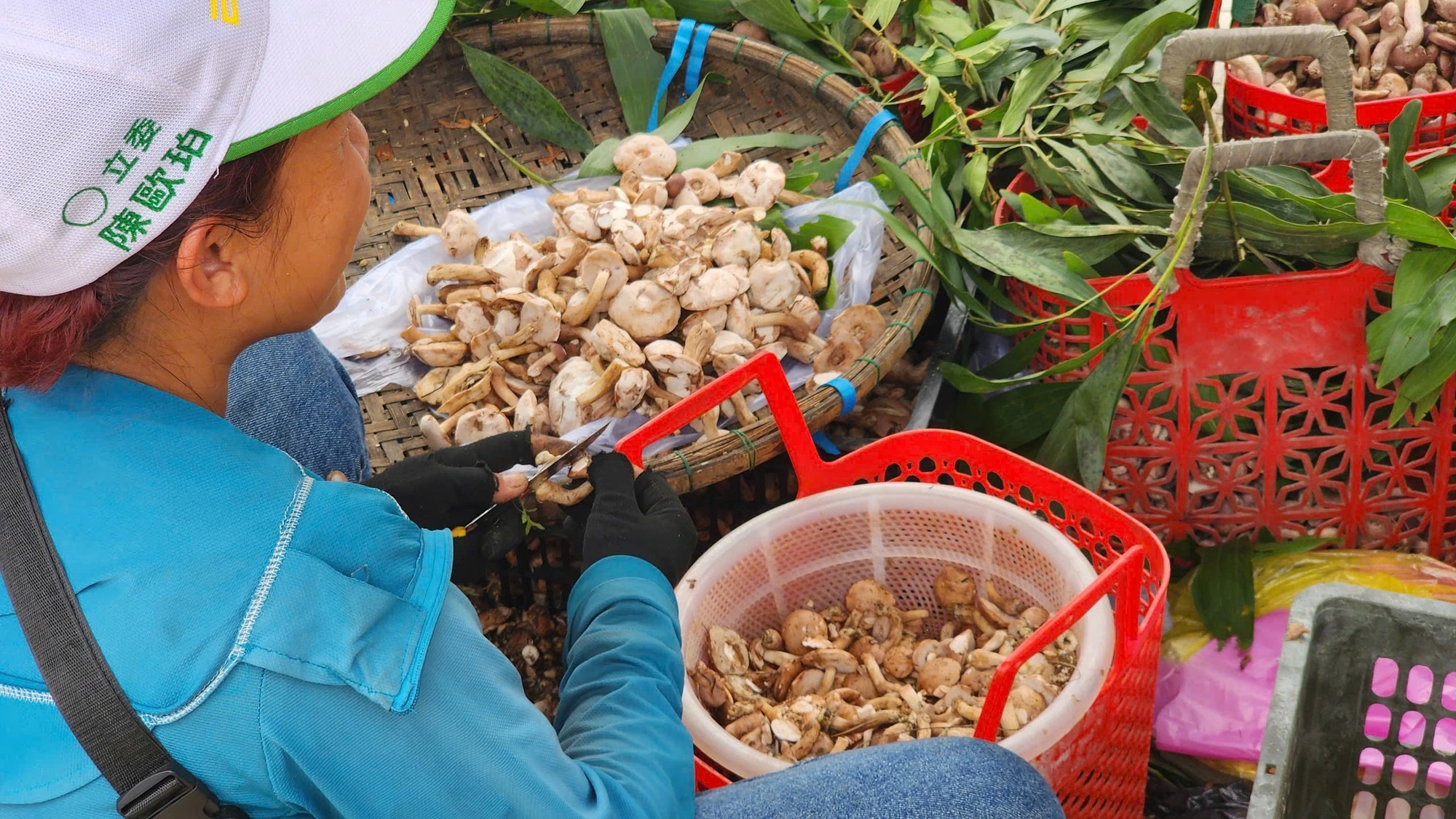 Bánh canh nấm tràm