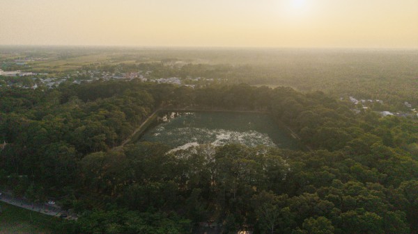 Bánh cốm ống của người Khmer: Món ăn tỏa khói nghi ngút bên ao Bà Om Bánh cốm ống của người Khmer: Món ăn tỏa khói nghi ngút bên ao Bà Om