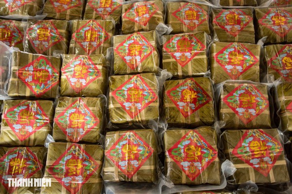 Bánh tét mặt trăng màu xanh ngọc ở Quảng Trị: Bí quyết từ nắm rau quê