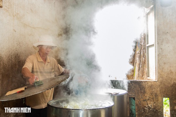 Bánh tét mặt trăng màu xanh ngọc ở Quảng Trị: Bí quyết từ nắm rau quê