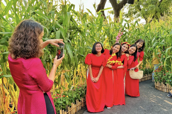 Bắp bao tử là gì mà ăn cả vỏ, râu vẫn được khen ngon?