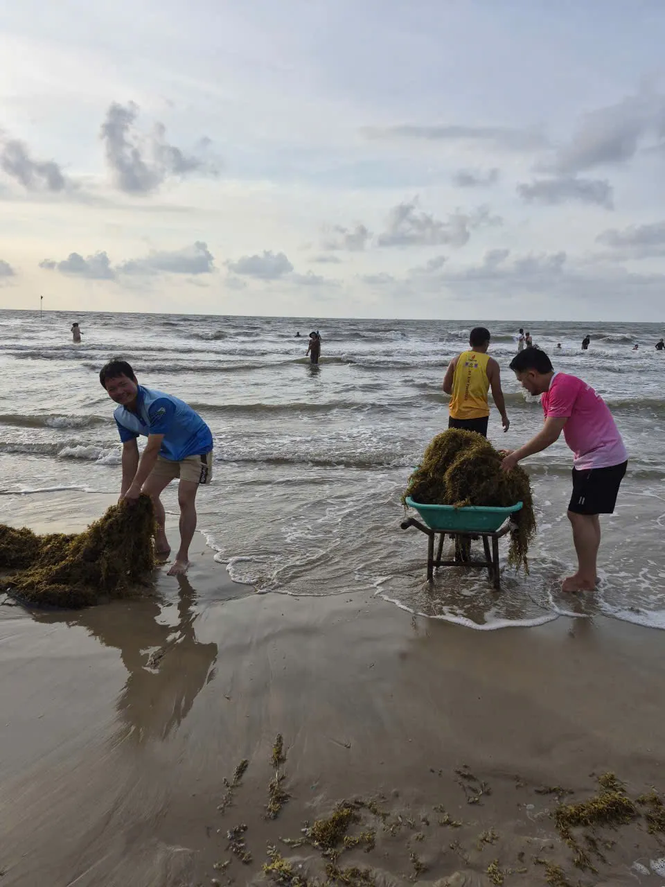 Biến 'rác biển' Vũng Tàu thành nguyên liệu Đông y