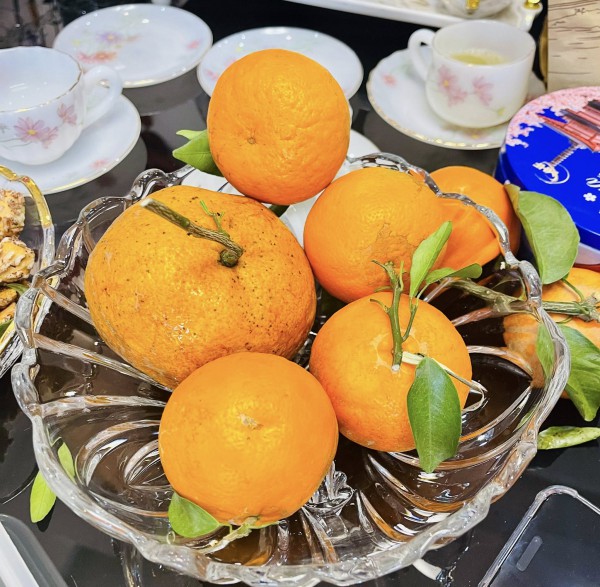 Cam bù chấm mắm ruốc gây tranh cãi: Vị chua ngọt hòa mặn đậm ra sao?