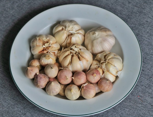 Chi 353 tỉ/tháng ăn tỏi nhập khẩu, vì sao người Việt chuộng tỏi Trung Quốc? Chi 353 tỉ/tháng ăn tỏi nhập khẩu, vì sao người Việt chuộng tỏi Trung Quốc?