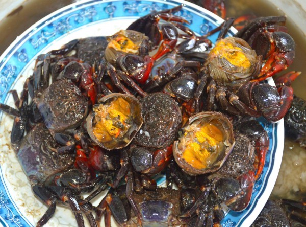 Chuyện ít biết về chù ụ - đặc sản kín tiếng của rừng ngập mặn Cà Mau Chuyện ít biết về chù ụ - đặc sản kín tiếng của rừng ngập mặn Cà Mau