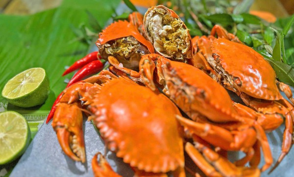 Cua yếm vuông Cà Mau: Đặc sản khiến dân sành ăn 'lơ' luôn cua gạch Cua yếm vuông Cà Mau: Đặc sản khiến dân sành ăn 'lơ' luôn cua gạch