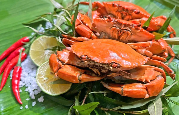 Cua yếm vuông Cà Mau: Đặc sản khiến dân sành ăn 'lơ' luôn cua gạch Cua yếm vuông Cà Mau: Đặc sản khiến dân sành ăn 'lơ' luôn cua gạch