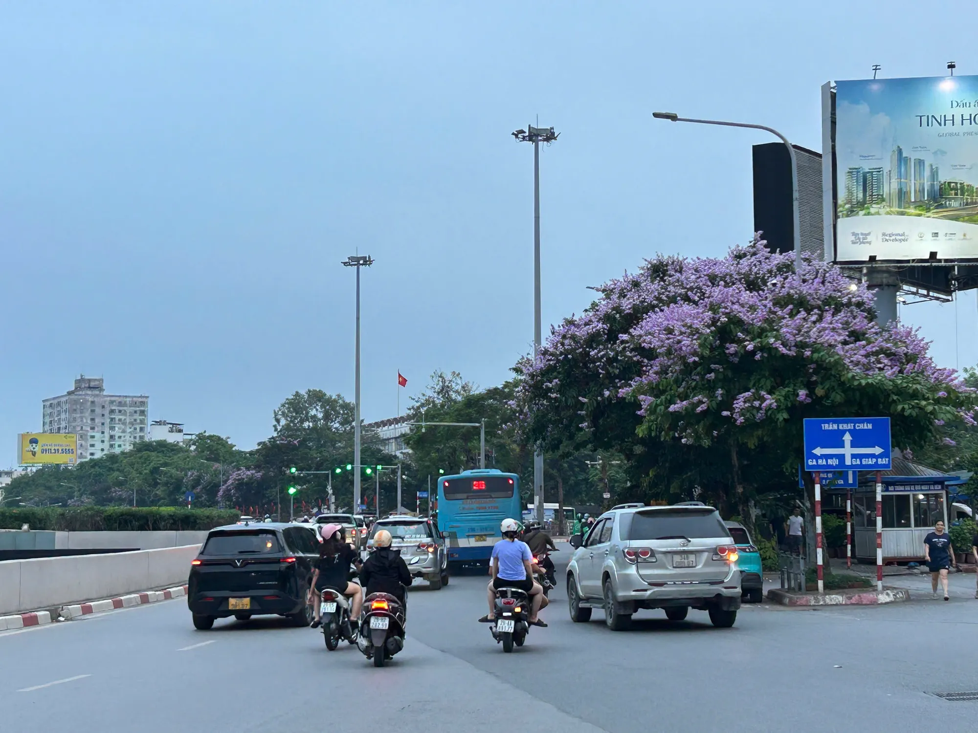 Hà Nội: Sắc tím bằng lăng nở rộ đầu mùa hạ Hà Nội: Sắc tím bằng lăng nở rộ đầu mùa hạ