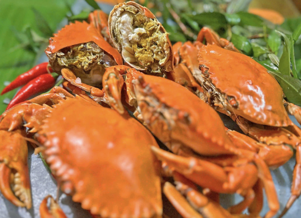 Hôm nay ngày đầu lễ hội ẩm thực cua Cà Mau ở TP.HCM: Thực khách hào hứng Hôm nay ngày đầu lễ hội ẩm thực cua Cà Mau ở TP.HCM: Thực khách hào hứng