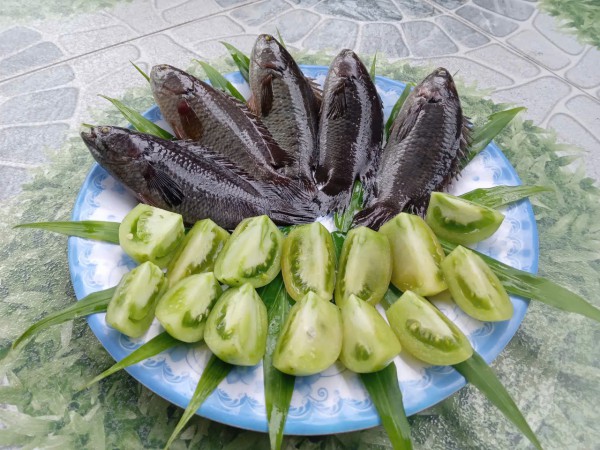 Hương vị quê hương: Rô đồng kho cà chua xanh Hương vị quê hương: Rô đồng kho cà chua xanh