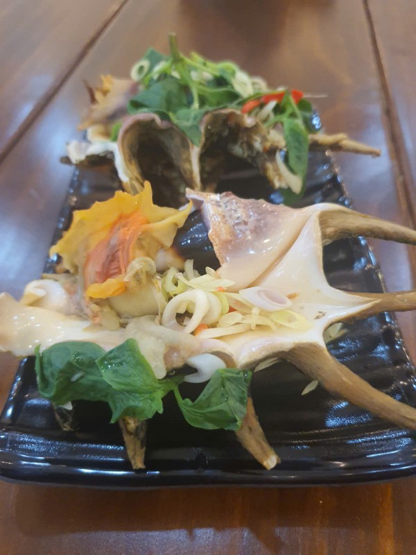 Hương vị quê hương: Ốc bàn tay Hương vị quê hương: Ốc bàn tay