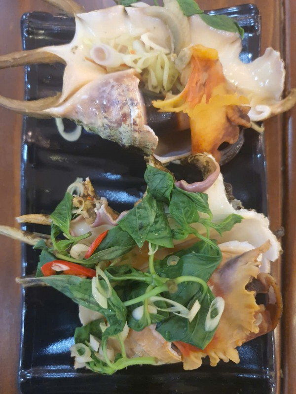 Hương vị quê hương: Ốc bàn tay Hương vị quê hương: Ốc bàn tay