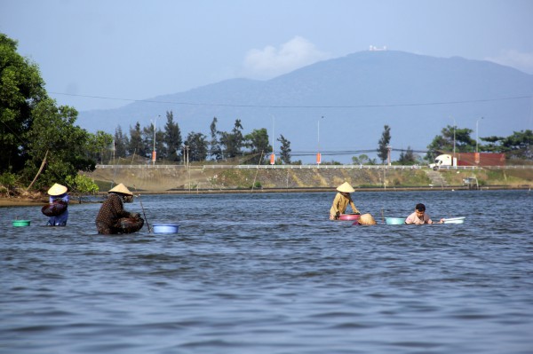 Kỳ lạ loài 'thỏ biển' đẻ ra bún, món ngon khiến thực khách thích mê
