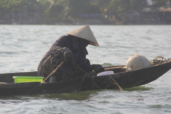 Kỳ lạ loài 'thỏ biển' đẻ ra bún, món ngon khiến thực khách thích mê