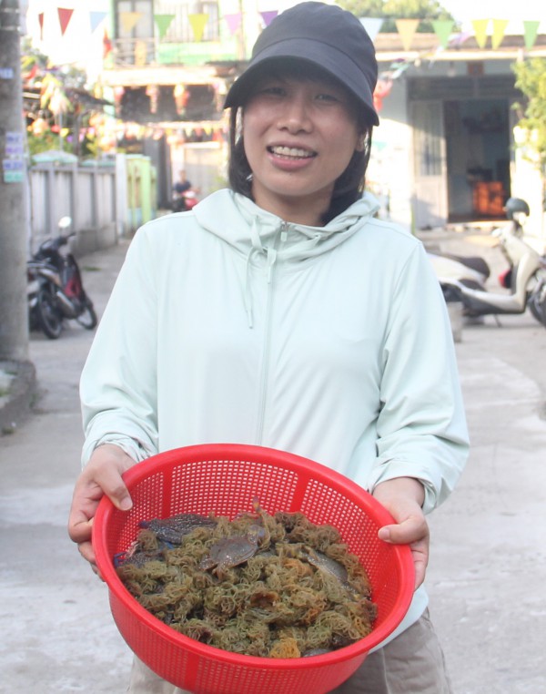 Kỳ lạ loài 'thỏ biển' đẻ ra bún, món ngon khiến thực khách thích mê