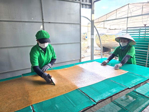 Làng bánh phồng tôm Cà Mau đỏ lửa cận tết, đơn hàng tăng 30%