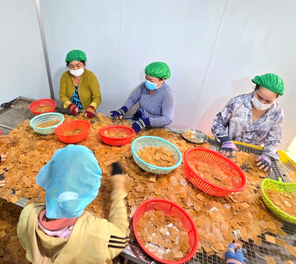 Làng bánh phồng tôm Cà Mau đỏ lửa cận tết, đơn hàng tăng 30%