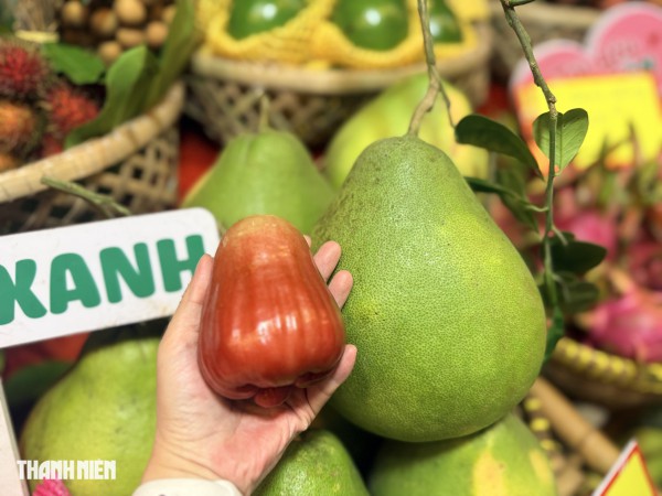 Loạt trái cây độc lạ hút khách tại tuần lễ nông sản vùng miền Bình Đông Loạt trái cây độc lạ hút khách tại tuần lễ nông sản vùng miền Bình Đông