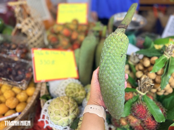 Loạt trái cây độc lạ hút khách tại tuần lễ nông sản vùng miền Bình Đông Loạt trái cây độc lạ hút khách tại tuần lễ nông sản vùng miền Bình Đông