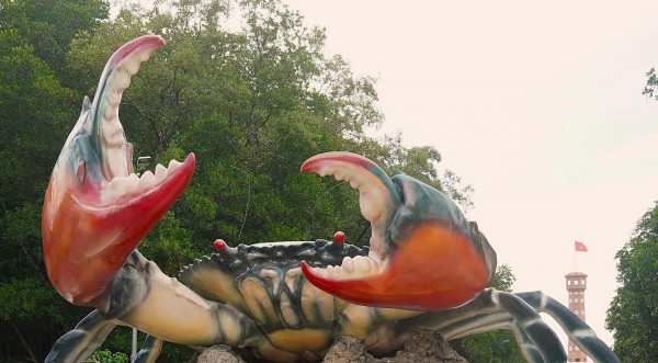 Mắm cua gạch Cà Mau: Hương vị dân dã đang dần thất truyền Mắm cua gạch Cà Mau: Hương vị dân dã đang dần thất truyền