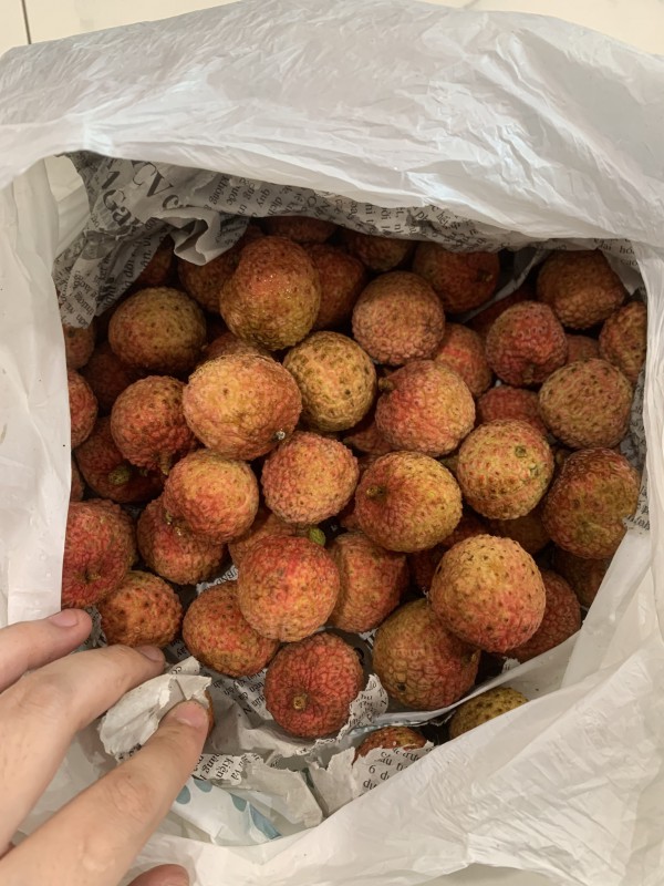 Mẹo bảo quản vải tươi ngon cả tuần cực đơn giản tại nhà Mẹo bảo quản vải tươi ngon cả tuần cực đơn giản tại nhà