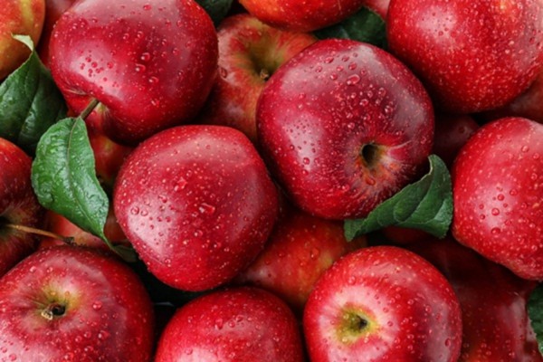 Một số loại hoa quả có thể giúp giảm cảm giác thèm ngọt
