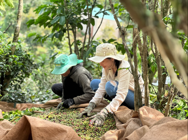 Nữ đầu bếp đam mê 'ăn thử' các món của 54 dân tộc Việt Nam