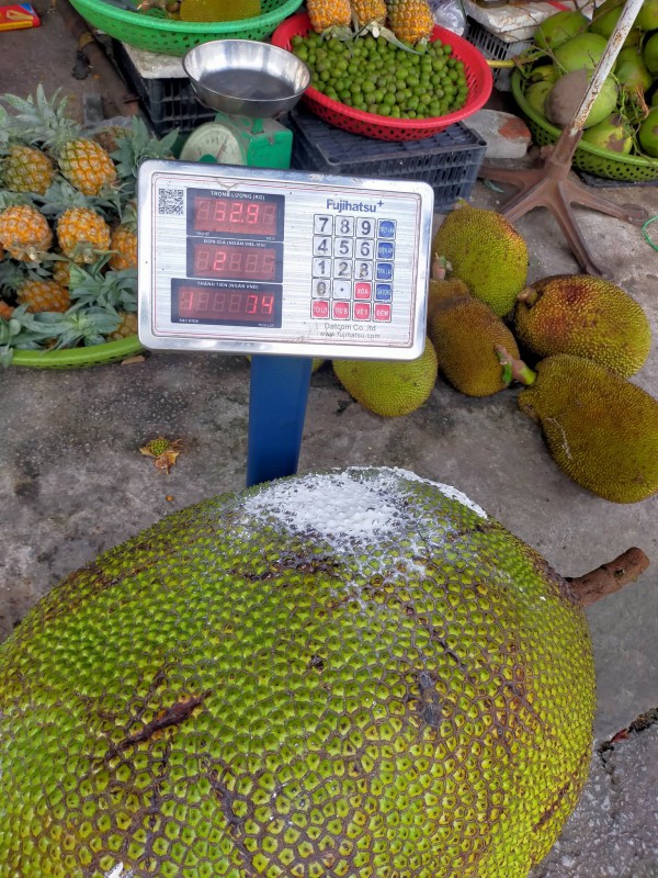 Quả mít khổng lồ nặng 53 kg: Bổ ra, ai trong chợ cũng bất ngờ Quả mít khổng lồ nặng 53 kg: Bổ ra, ai trong chợ cũng bất ngờ