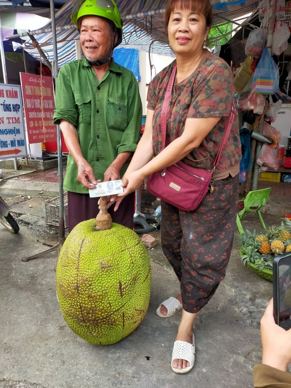 Quả mít khổng lồ nặng 53 kg: Bổ ra, ai trong chợ cũng bất ngờ Quả mít khổng lồ nặng 53 kg: Bổ ra, ai trong chợ cũng bất ngờ