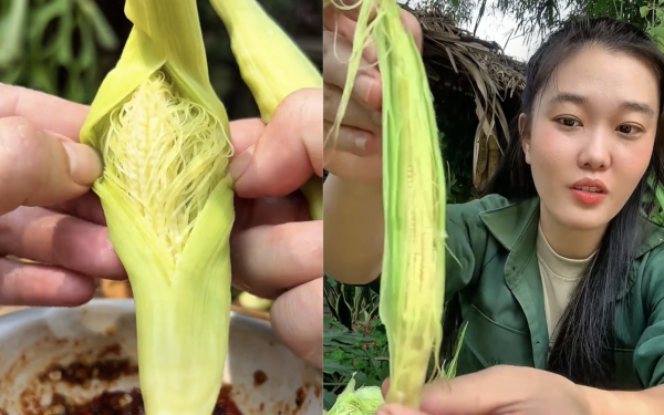 Rau mầm gai là gì mà gây sốt mạng, nhiều người ở TP.HCM tìm mua không có? Rau mầm gai là gì mà gây sốt mạng, nhiều người ở TP.HCM tìm mua không có?