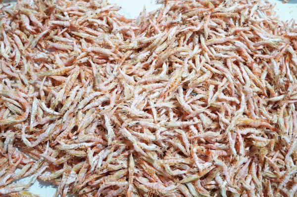 Tôm khô móng chim Cà Mau hiếm cỡ nào mà giá hơn 1,5 triệu đồng/kg? Tôm khô móng chim Cà Mau hiếm cỡ nào mà giá hơn 1,5 triệu đồng/kg?