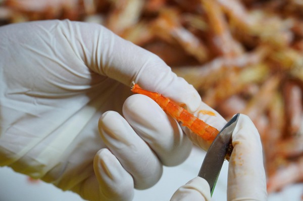 Tôm khô móng chim Cà Mau hiếm cỡ nào mà giá hơn 1,5 triệu đồng/kg? Tôm khô móng chim Cà Mau hiếm cỡ nào mà giá hơn 1,5 triệu đồng/kg?