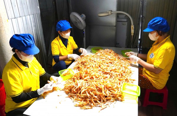 Tôm khô móng chim Cà Mau hiếm cỡ nào mà giá hơn 1,5 triệu đồng/kg? Tôm khô móng chim Cà Mau hiếm cỡ nào mà giá hơn 1,5 triệu đồng/kg?