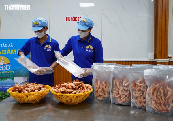 Tôm sú khô nguyên vỏ Cà Mau 'cháy hàng' dịp tết, giá 1,5 triệu/kg vẫn hút khách