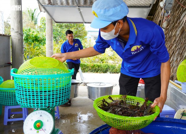 Tôm sú khô nguyên vỏ Cà Mau 'cháy hàng' dịp tết, giá 1,5 triệu/kg vẫn hút khách