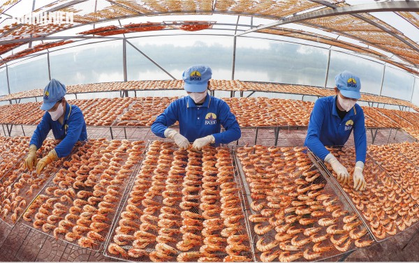 Tôm sú khô nguyên vỏ Cà Mau 'cháy hàng' dịp tết, giá 1,5 triệu/kg vẫn hút khách