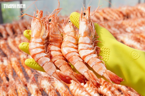 Tôm sú khô nguyên vỏ Cà Mau 'cháy hàng' dịp tết, giá 1,5 triệu/kg vẫn hút khách