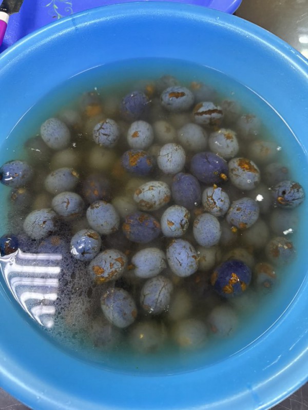 Trái cọ vào mùa: Ăn sao cho đúng để không rát cổ?