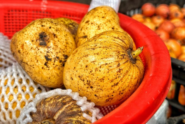 Trái gùi, mít nài, bứa đỏ... đổ bộ quán hủ tiếu ở TP.HCM, nhiều người lùng mua