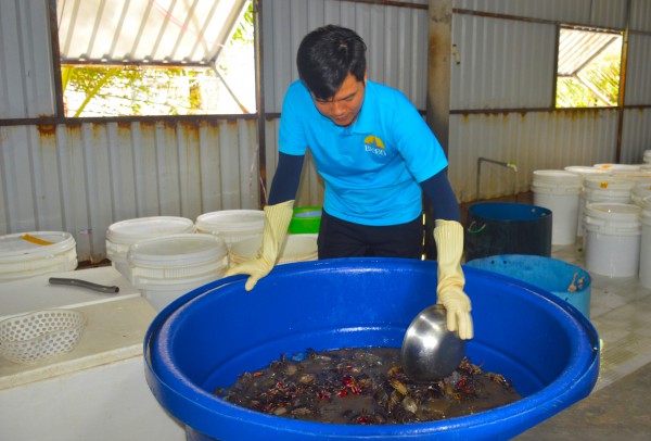 Từng bị xem là hàng dạt, ba khía lột thành riêu OCOP 4 sao