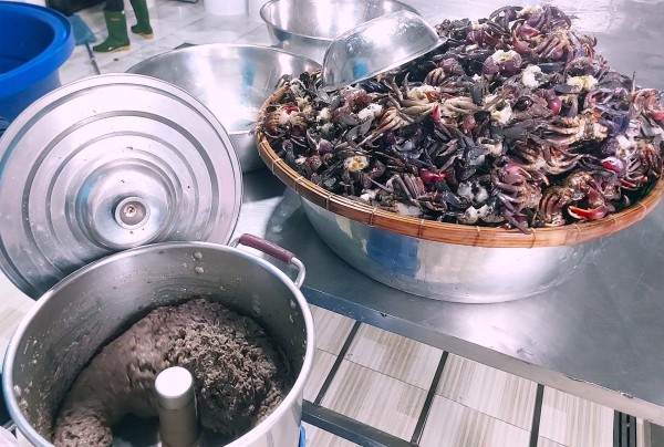 Từng bị xem là hàng dạt, ba khía lột thành riêu OCOP 4 sao