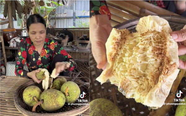 Ăn trái sa kê chín thành 'trend' mạng xã hội: Vị ra sao mà nhiều người tò mò? Ăn trái sa kê chín thành 'trend' mạng xã hội: Vị ra sao mà nhiều người tò mò?