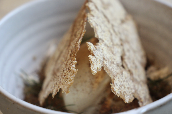 Đầu bếp gốc Việt Kevin Tiến: Đưa ẩm thực Việt đương đại tỏa sáng tại Mỹ Đầu bếp gốc Việt Kevin Tiến: Đưa ẩm thực Việt đương đại tỏa sáng tại Mỹ