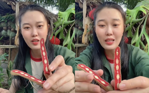 Độc lạ me ruột đỏ, dân mạng nhầm tưởng do AI tạo ra: Có khác me thường?