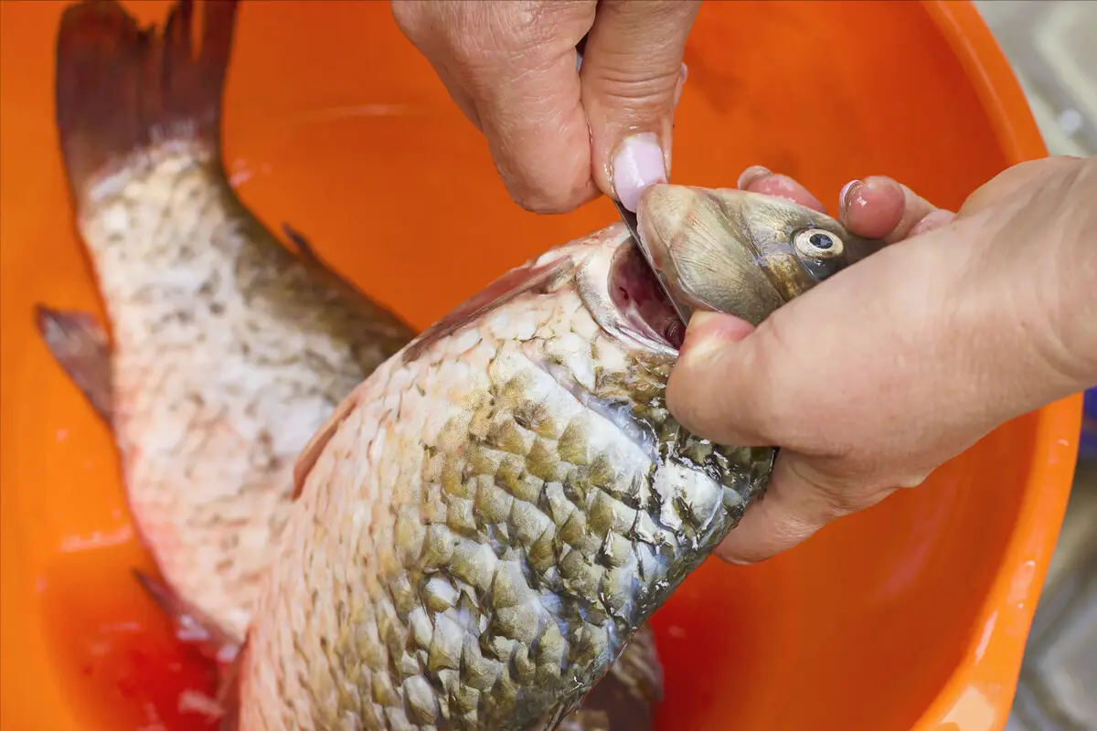 Đừng tẩm bột hay rắc muối, đây mới là cách rán cá không dính chảo Đừng tẩm bột hay rắc muối, đây mới là cách rán cá không dính chảo