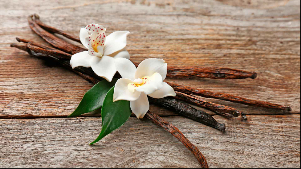 Gợi ý hương nước hoa cho những ngày thu se lạnh Gợi ý hương nước hoa cho những ngày thu se lạnh