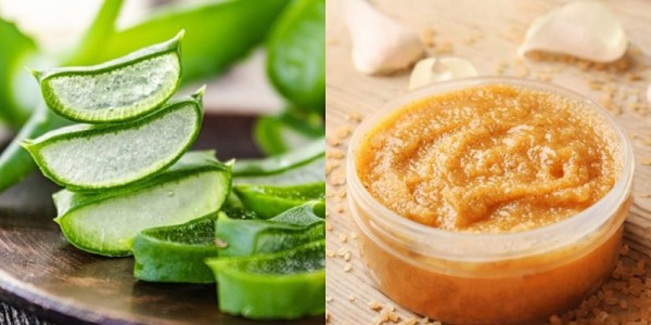 Làm đẹp từ gian bếp: Làn da ẩm mịn, căng mướt nhờ nha đam